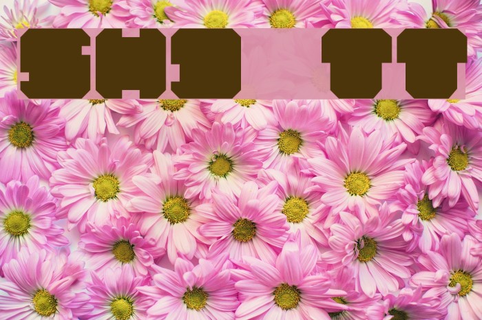 SHD TechnoType Font examples