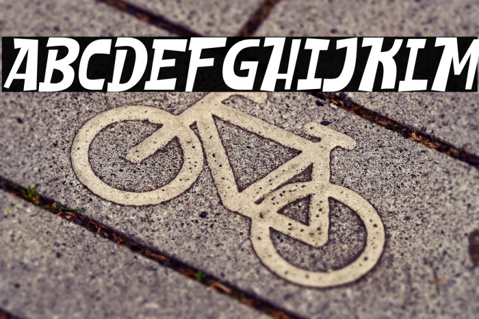 SHEROO Italic Example 1