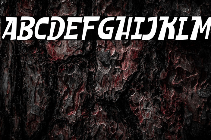 SHEROO Italic Example 2