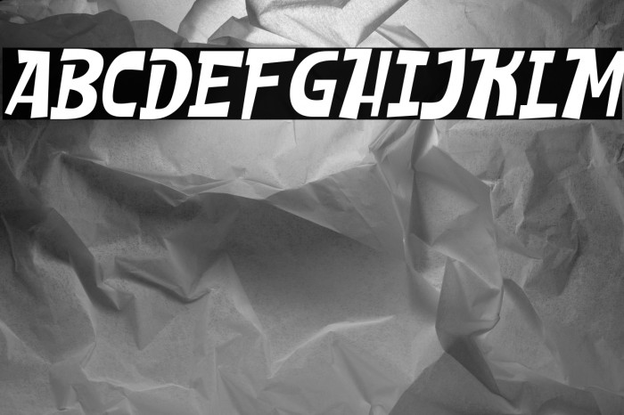 SHEROO Italic Example 3