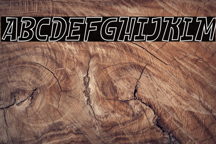 SHEROO Outline Italic Example 3