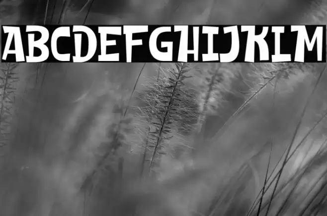 SHEROO Font examples