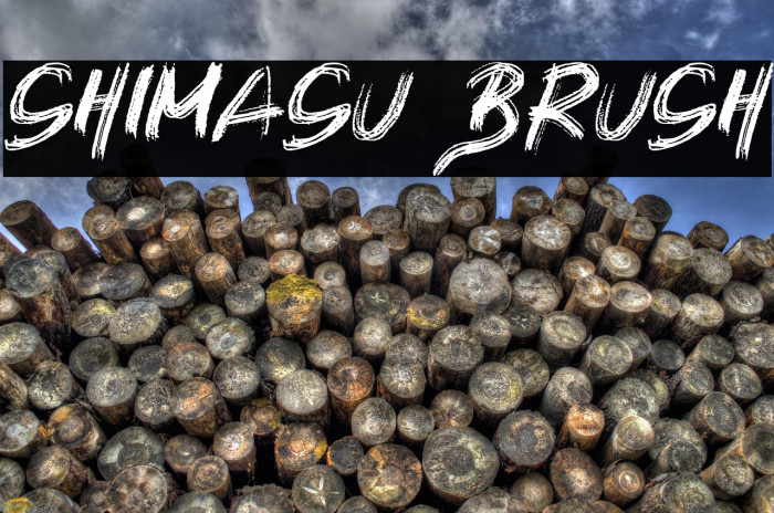 SHIMASU BRUSH Example 1