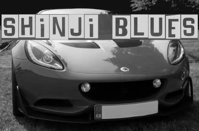 SHINJI BLUES Font examples