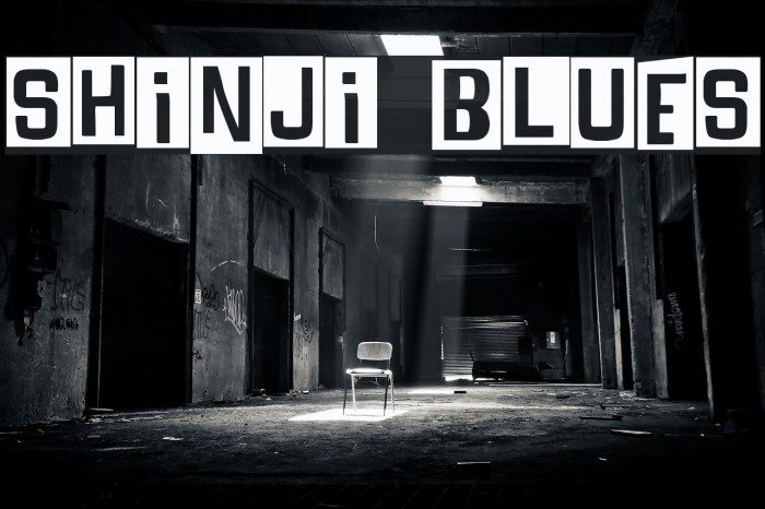 SHINJI BLUES Шрифта examples