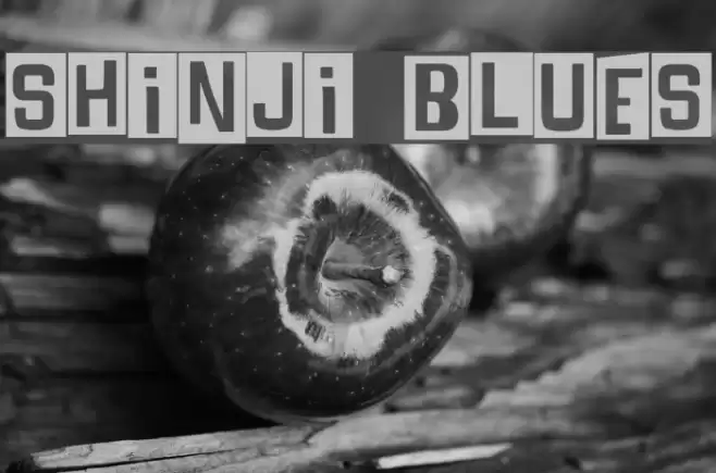 SHINJI BLUES Font examples