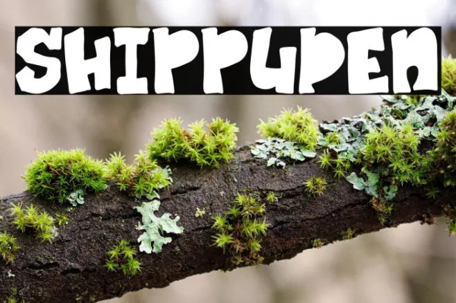 SHIPPUDEN Example 3