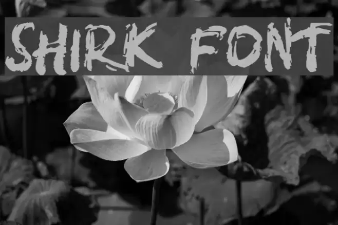 SHIRK Font examples