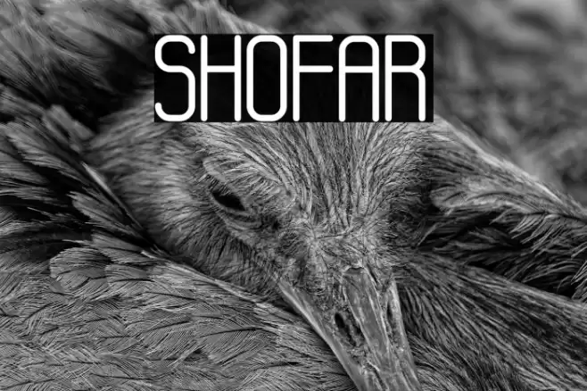 SHOFAR Font examples