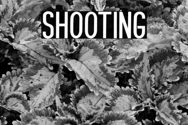 SHOOTING Font examples