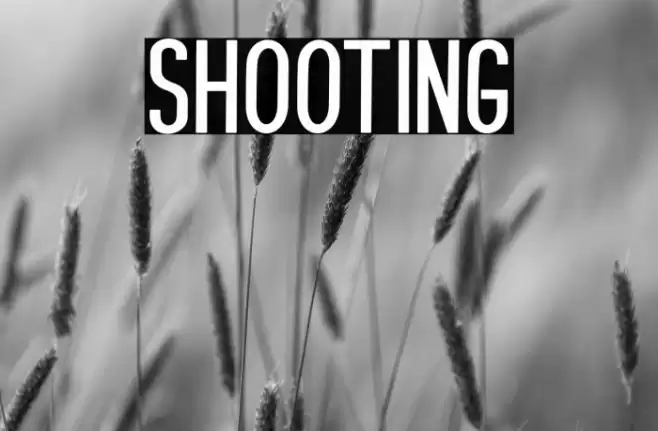 SHOOTING Font examples