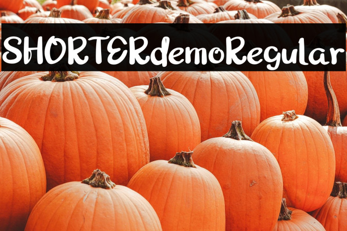 SHORTERdemoRegular Example 1