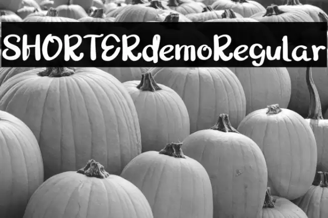 SHORTERdemoRegular Font examples