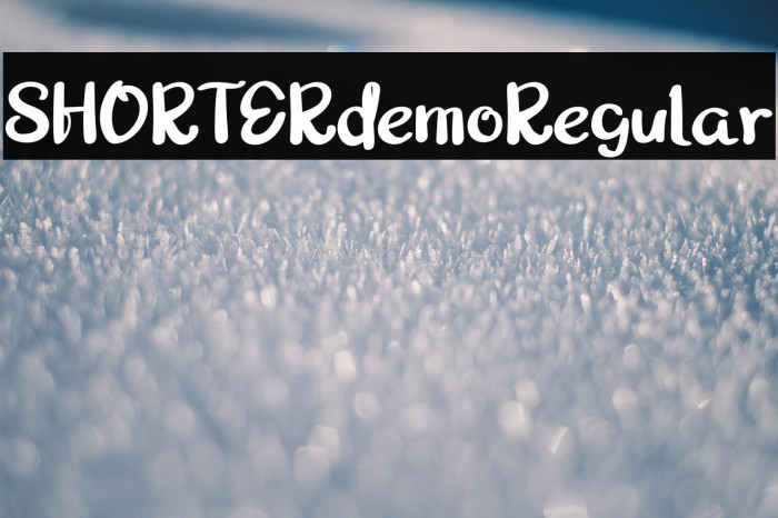 SHORTERdemoRegular Example 2