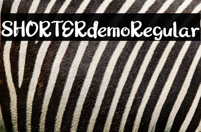 SHORTERdemoRegular Example 3