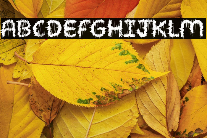 SHRED OF NIGHT Example 1