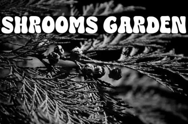 SHROOMS GARDEN フォント examples