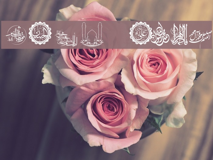 SHia Font examples