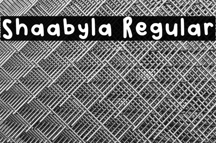 Shaabyla Regular Example 2