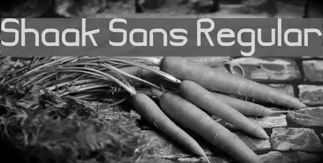 Shaak Sans Regular Font examples