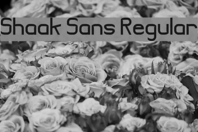 Shaak Sans Regular Font examples