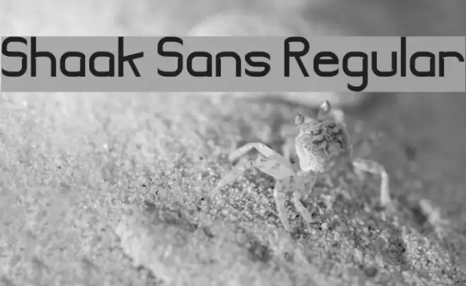 Shaak Sans Regular Font examples