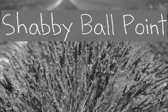 Shabby Ball Point Font examples