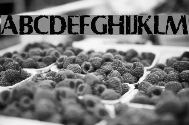 Shabby Font examples