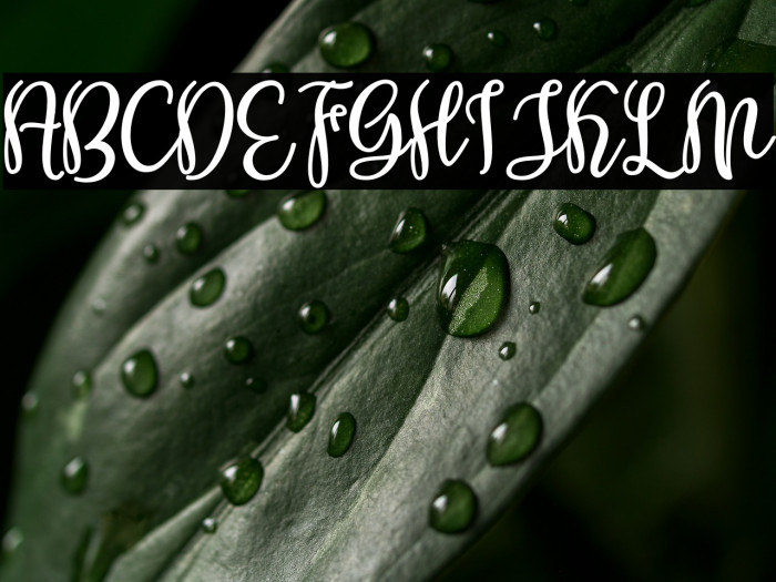 Shabira Bloom Regular Example 1