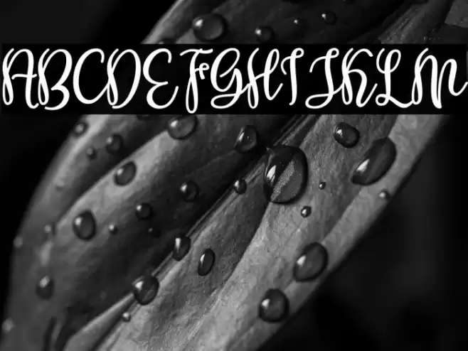 Shabira Bloom Regular Font examples