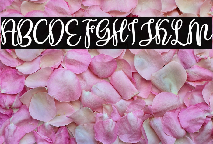 Shabira Bloom Regular Example 3