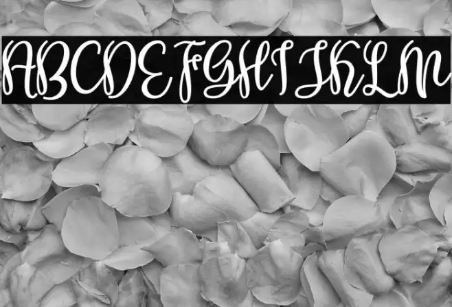 Shabira Bloom Regular Font examples