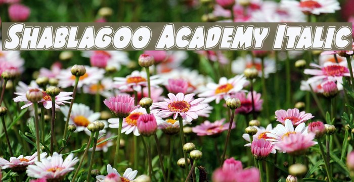 Shablagoo Academy Italic Font examples