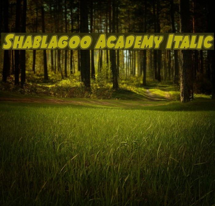 Shablagoo Academy Italic Font examples