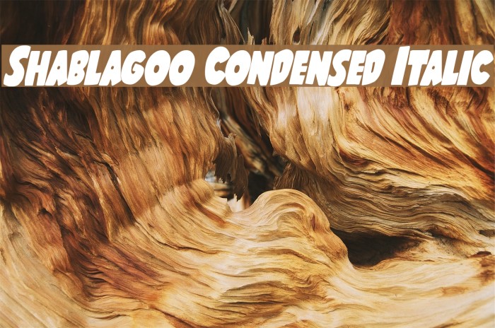 Shablagoo Condensed Italic Font examples