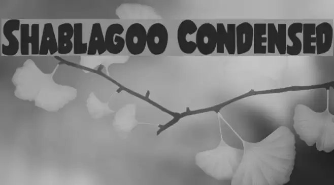 Shablagoo Condensed Font examples