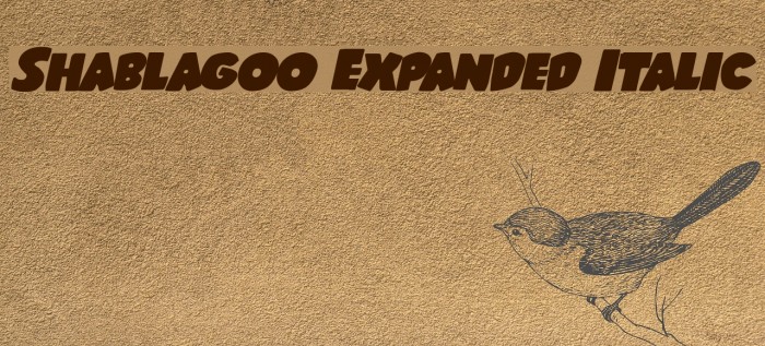 Shablagoo Expanded Italic Font examples