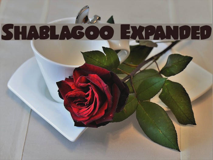 Shablagoo Expanded Font examples