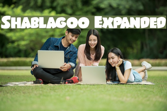 Shablagoo Expanded Font examples