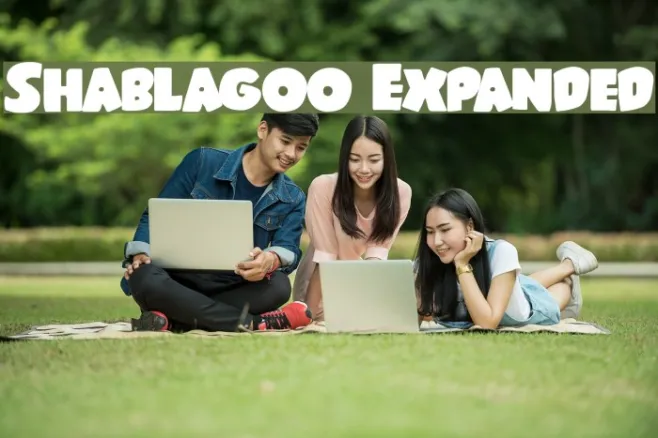 Shablagoo Expanded Example 3