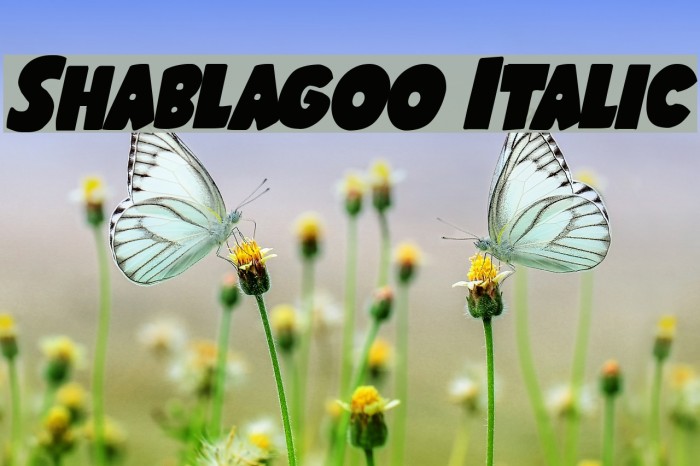 Shablagoo Italic Font examples