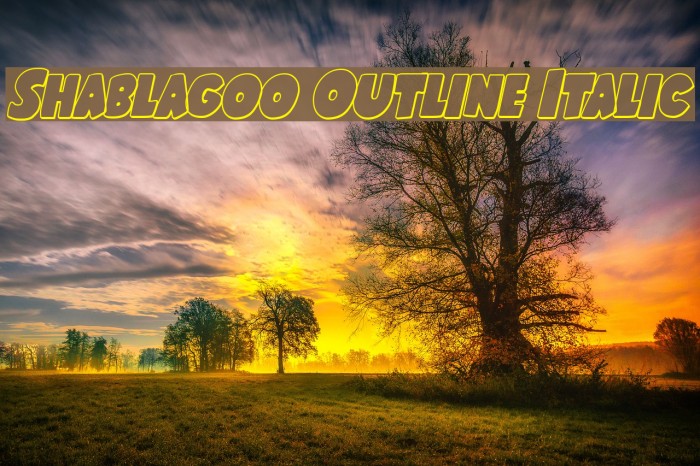Shablagoo Outline Italic Font examples