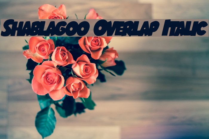 Shablagoo Overlap Italic Font examples