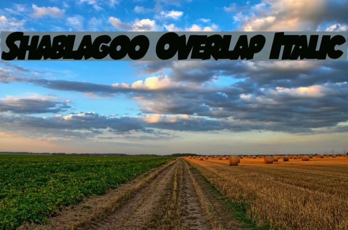 Shablagoo Overlap Italic Font examples