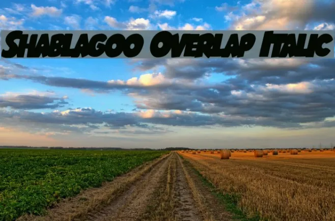 Shablagoo Overlap Italic Example 3
