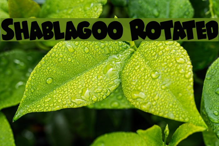 Shablagoo Rotated Font examples