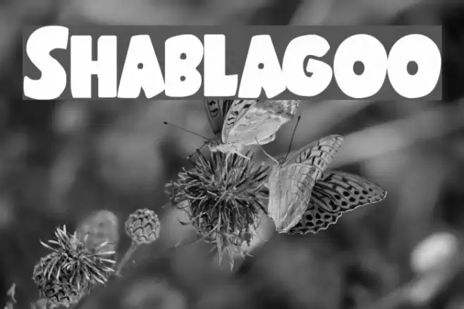 Shablagoo Font examples