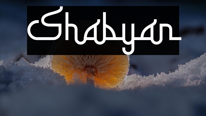 Shabyan Example 1