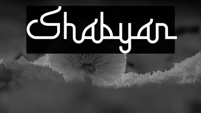 Shabyan Font examples