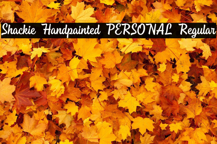 Shackie Handpainted PERSONAL Regular Example 1